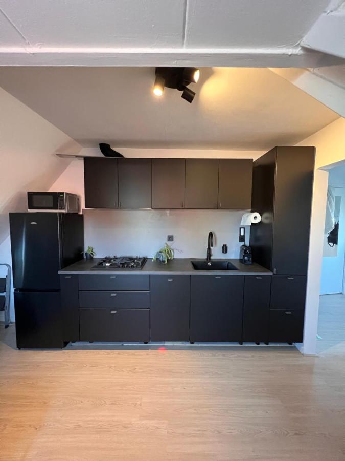 Studio Wijkhuizen 赞德沃特 外观 照片